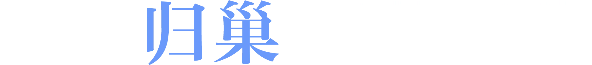 归巢回国加速器 - 一键归巢 又快又稳